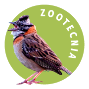 Botón Zootecnia