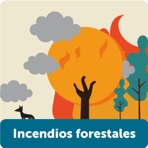 Pieza gráfica de incendios forestales