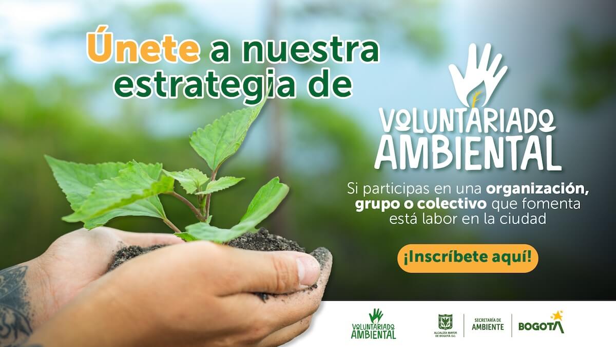 Únete a nuestra estrategia de Voluntariado Ambiental - Inscríbete aquí