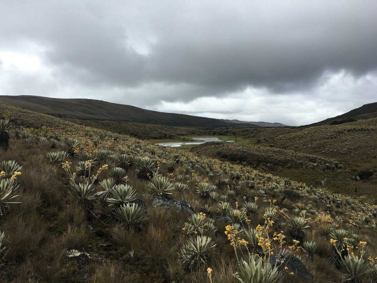 Sumapaz