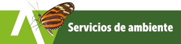 Botón: título Servicios de ambiente