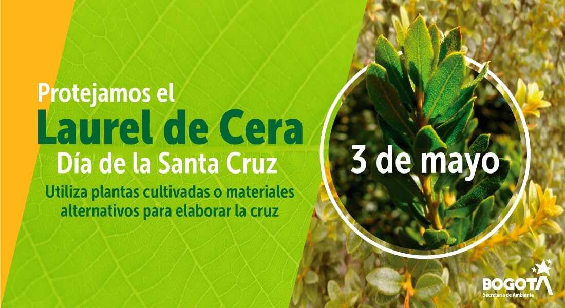 Gráfico del laurel de cera