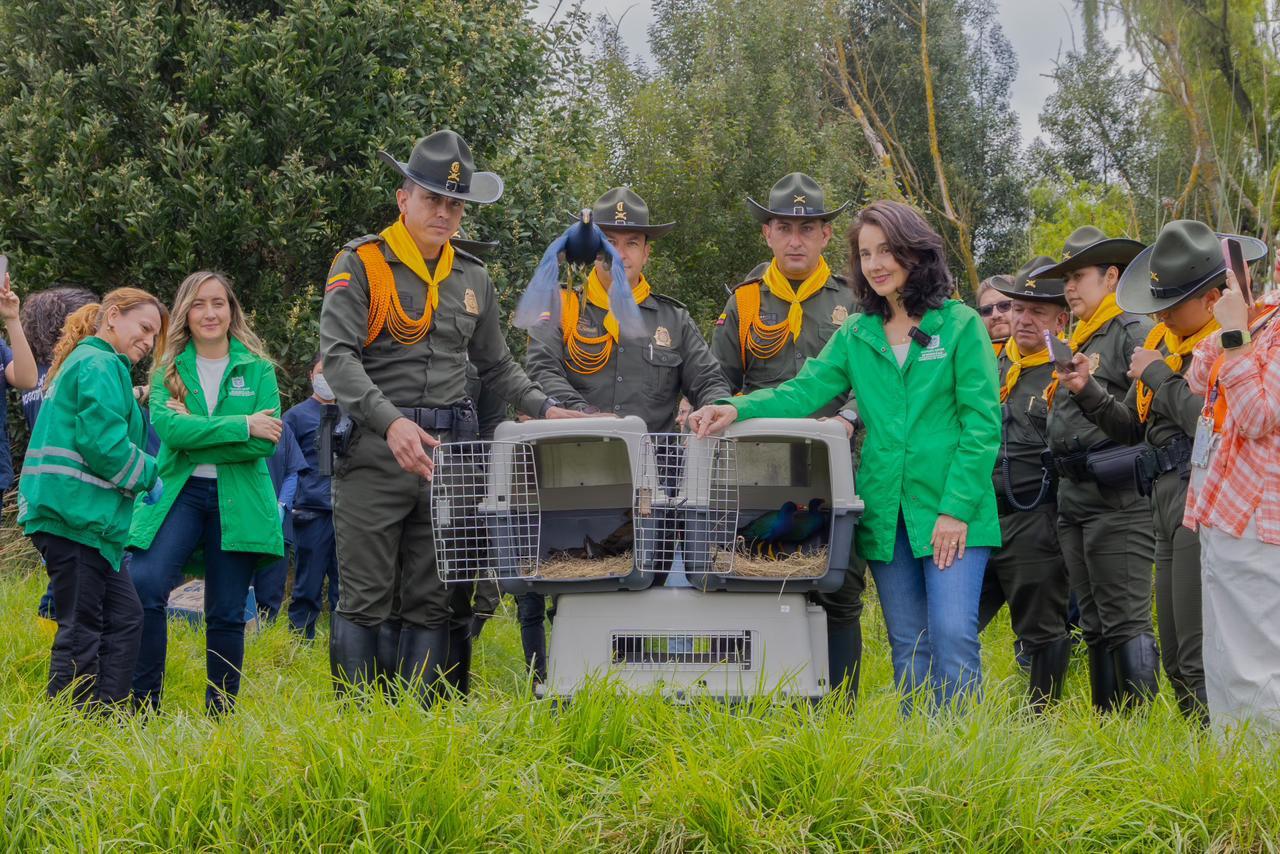 Liberación de animales silvestres