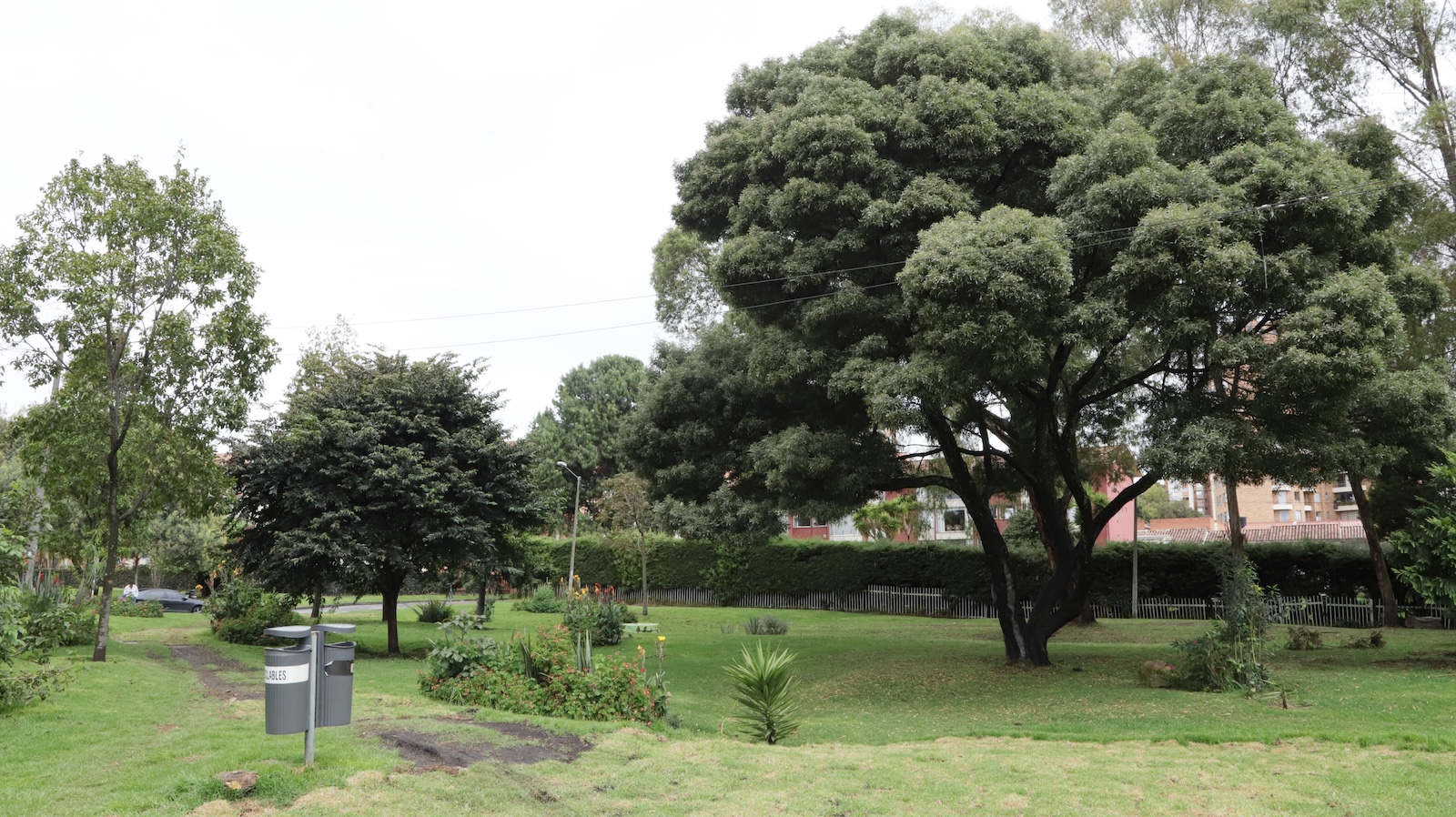 Bosques Urbanos