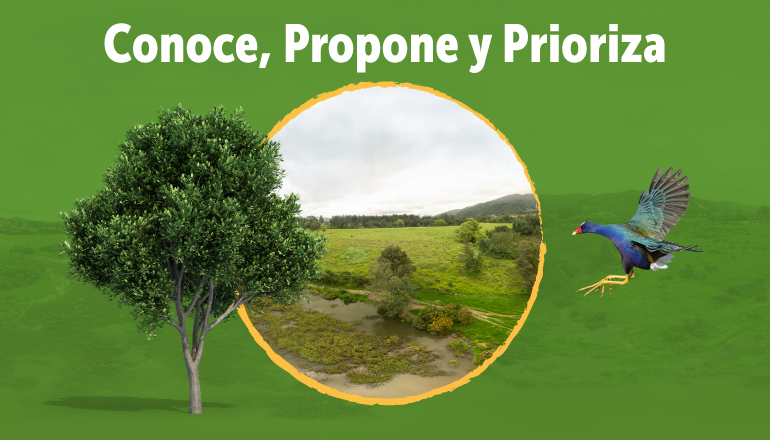 conoce, propone y prioriza