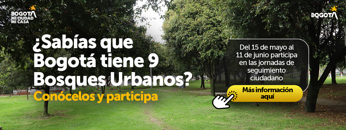 Bosques urbanos