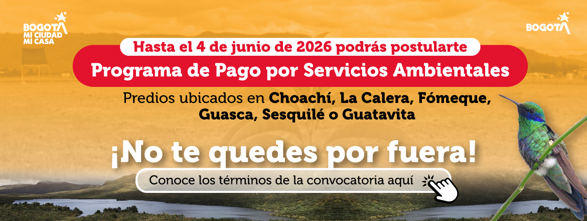 Programa de Pago por Servicios Ambientales