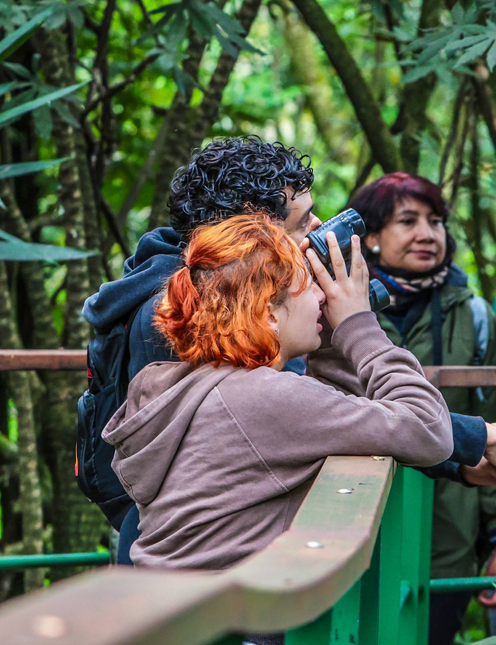 Participación ciudadana en gestión ambiental