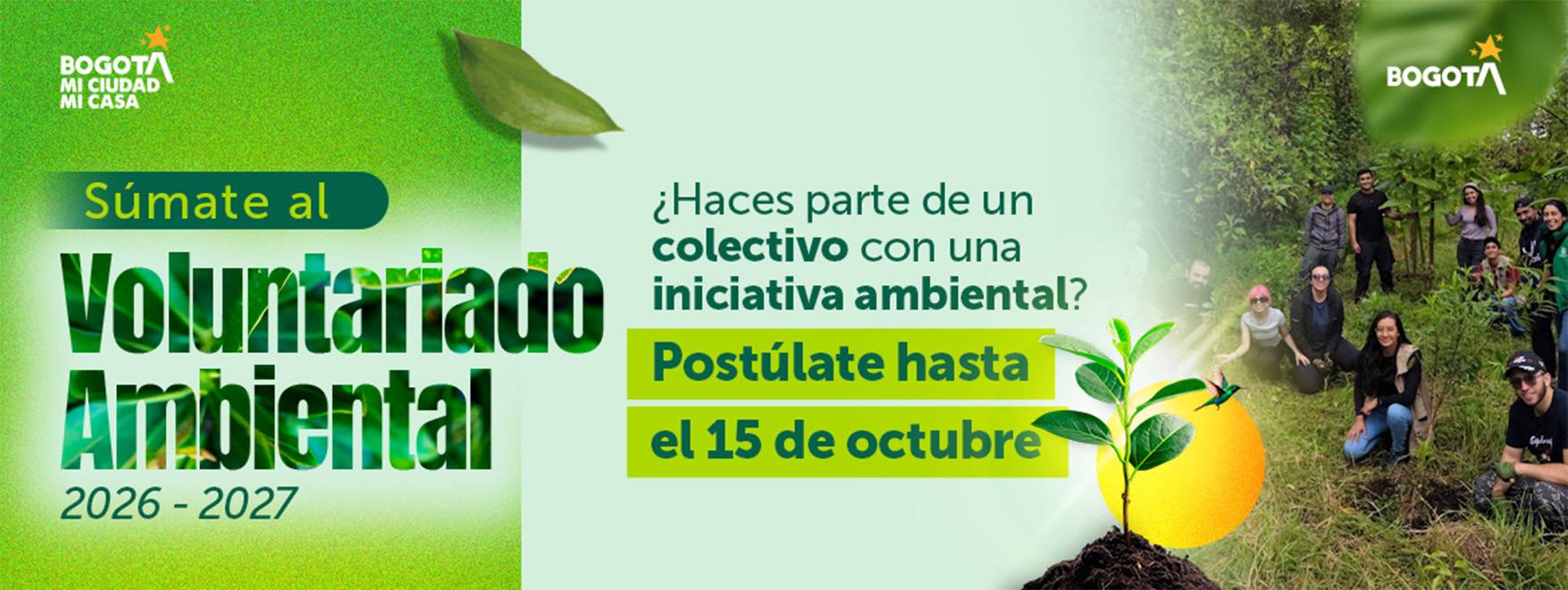 Voluntariado ambiental