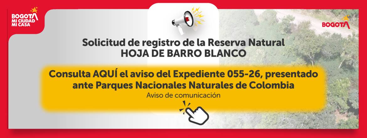 Banner convocatoria iniciativas acción climática Banner convocatoria iniciativas acción climática